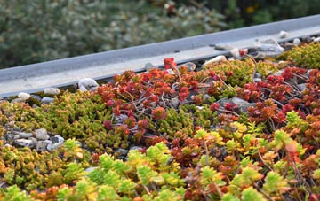 the cost of Buttons Green green roof installation