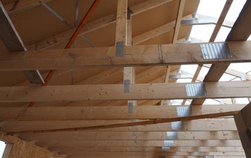 Buttons Green roof truss costs
